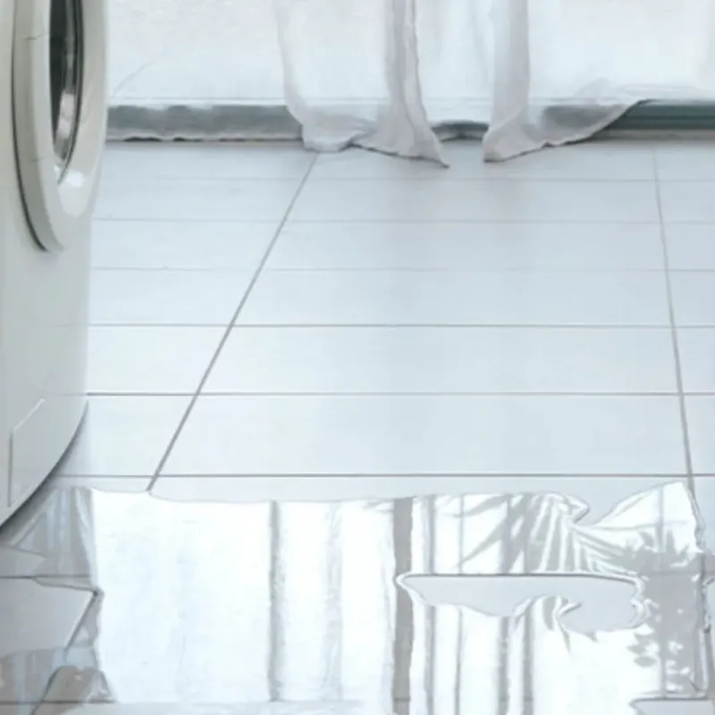 Appliance Leak Cleanup in West Side Highway, WA